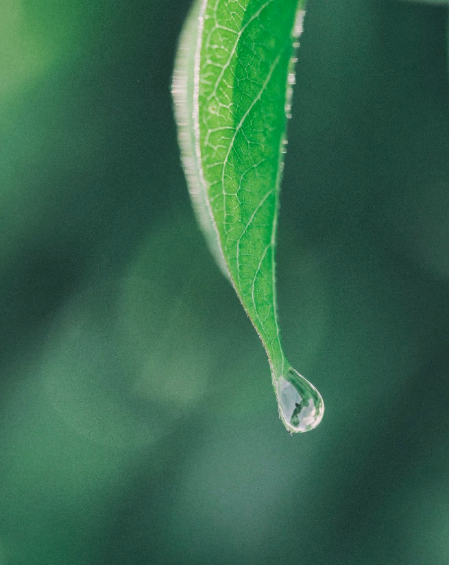 Sustainability